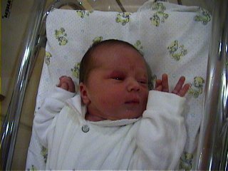 [ Very cool guy. No screaming so far.]