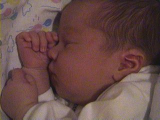 [ Same procedure as yesterday. Sleep and eat!]