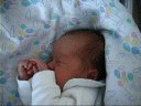 [ Animated Alexander, sleeping as always]
